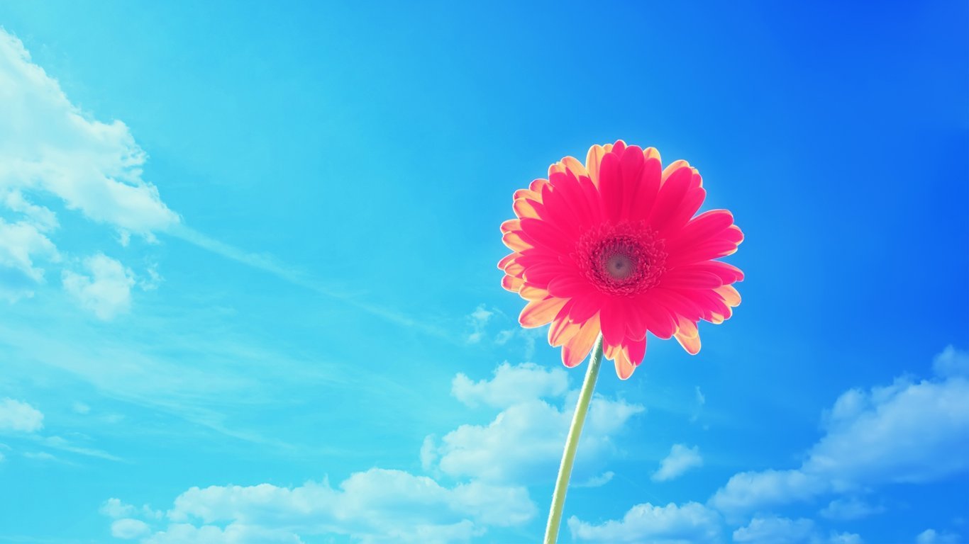 κĸ˼