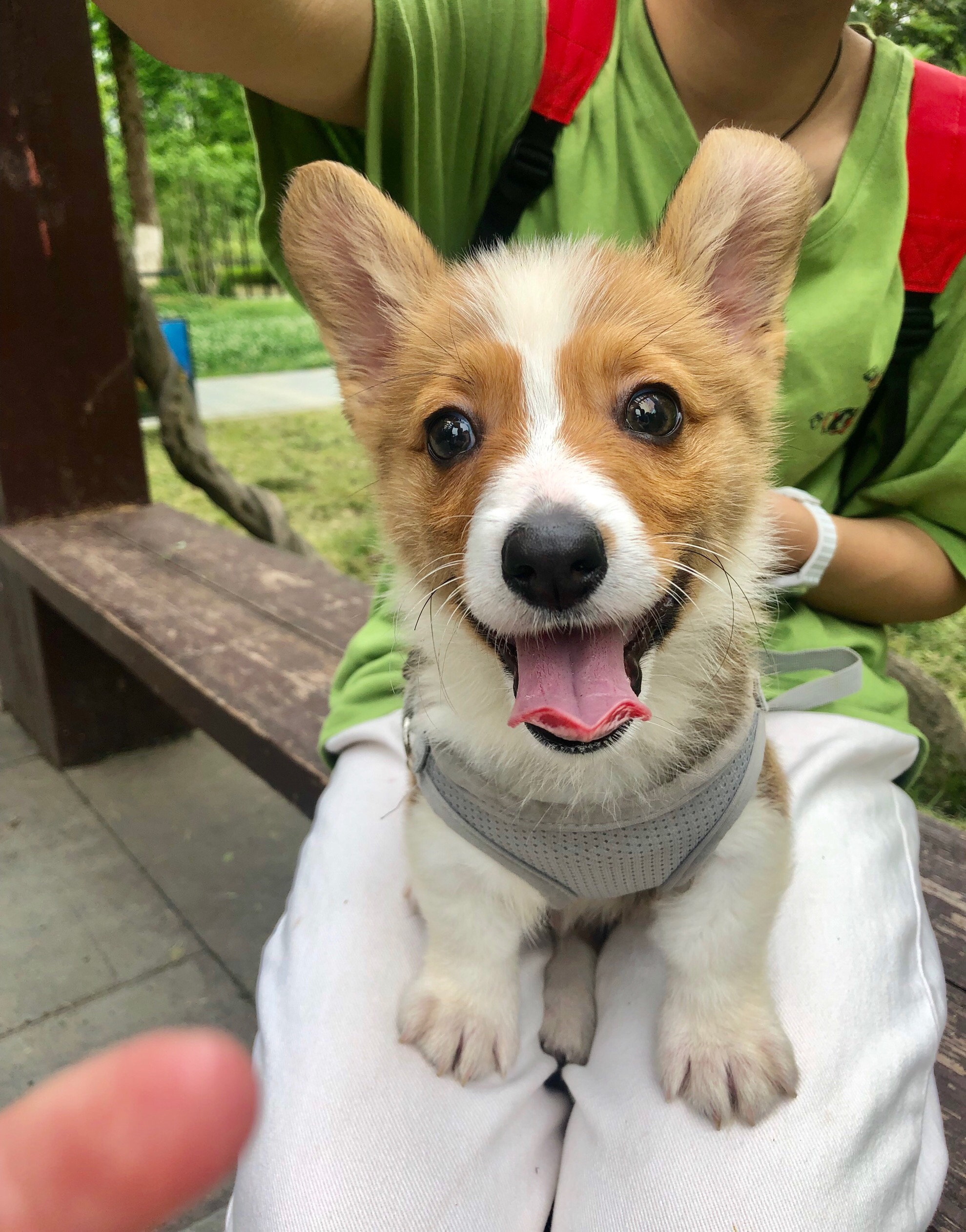 Сĸ˼